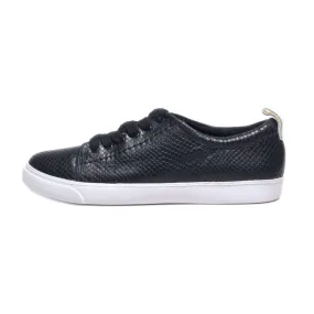 Clarks Glove Echo Low-Top Sneakers Leather Black Colour For Women