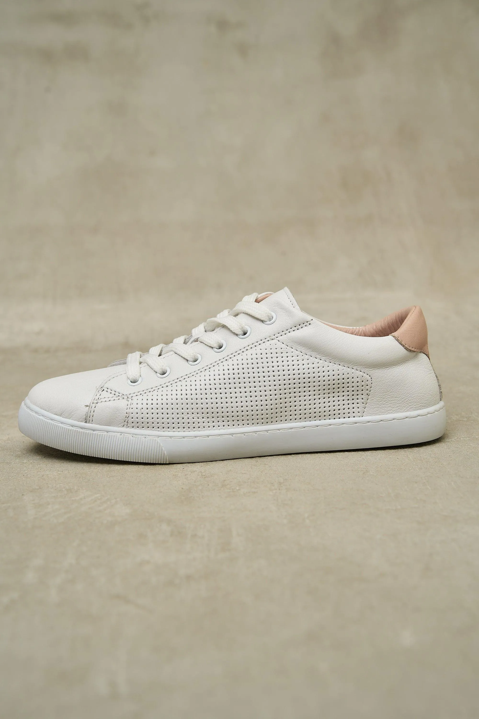 DOT Sneakers