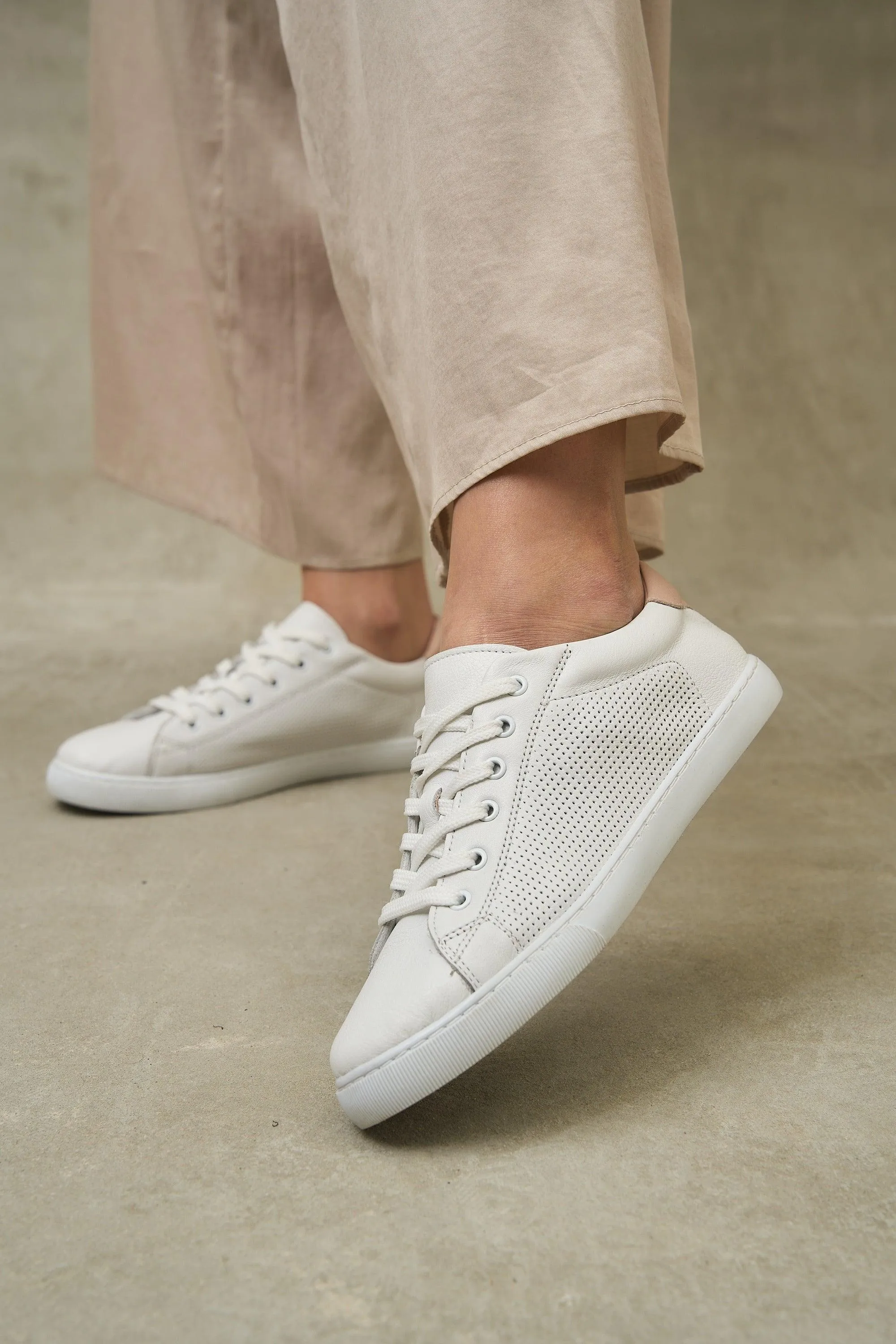 DOT Sneakers