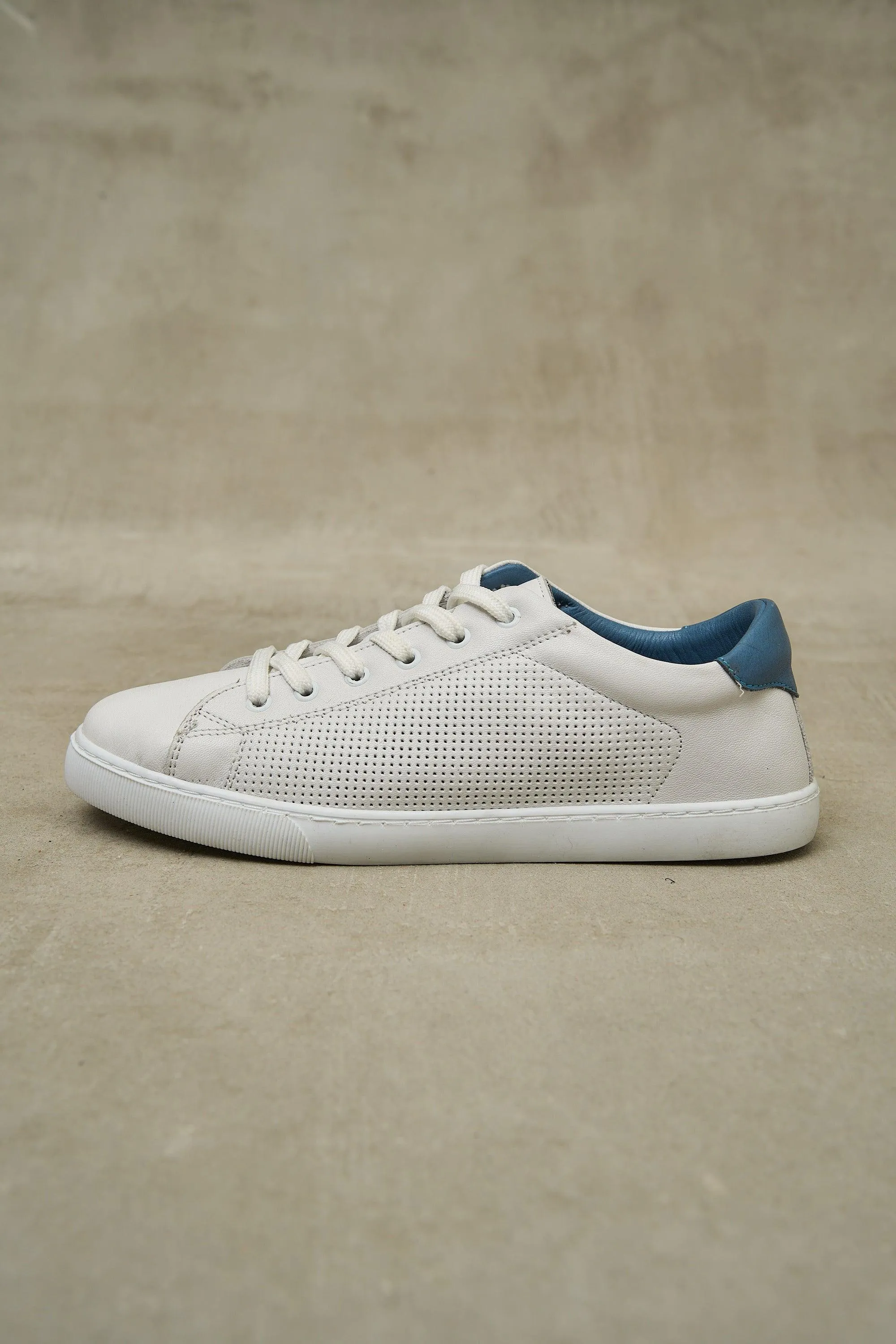 DOT Sneakers