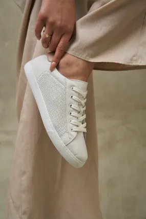 DOT Sneakers