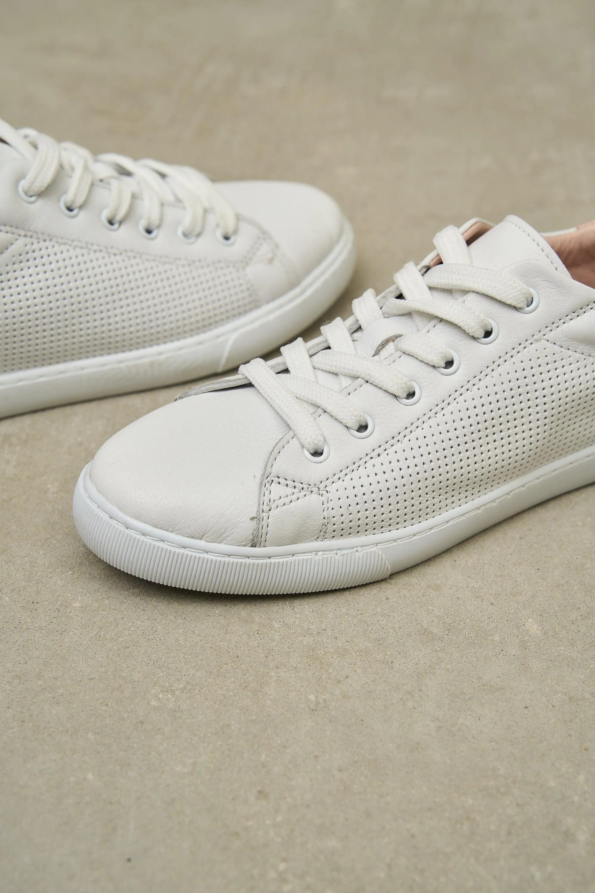 DOT Sneakers