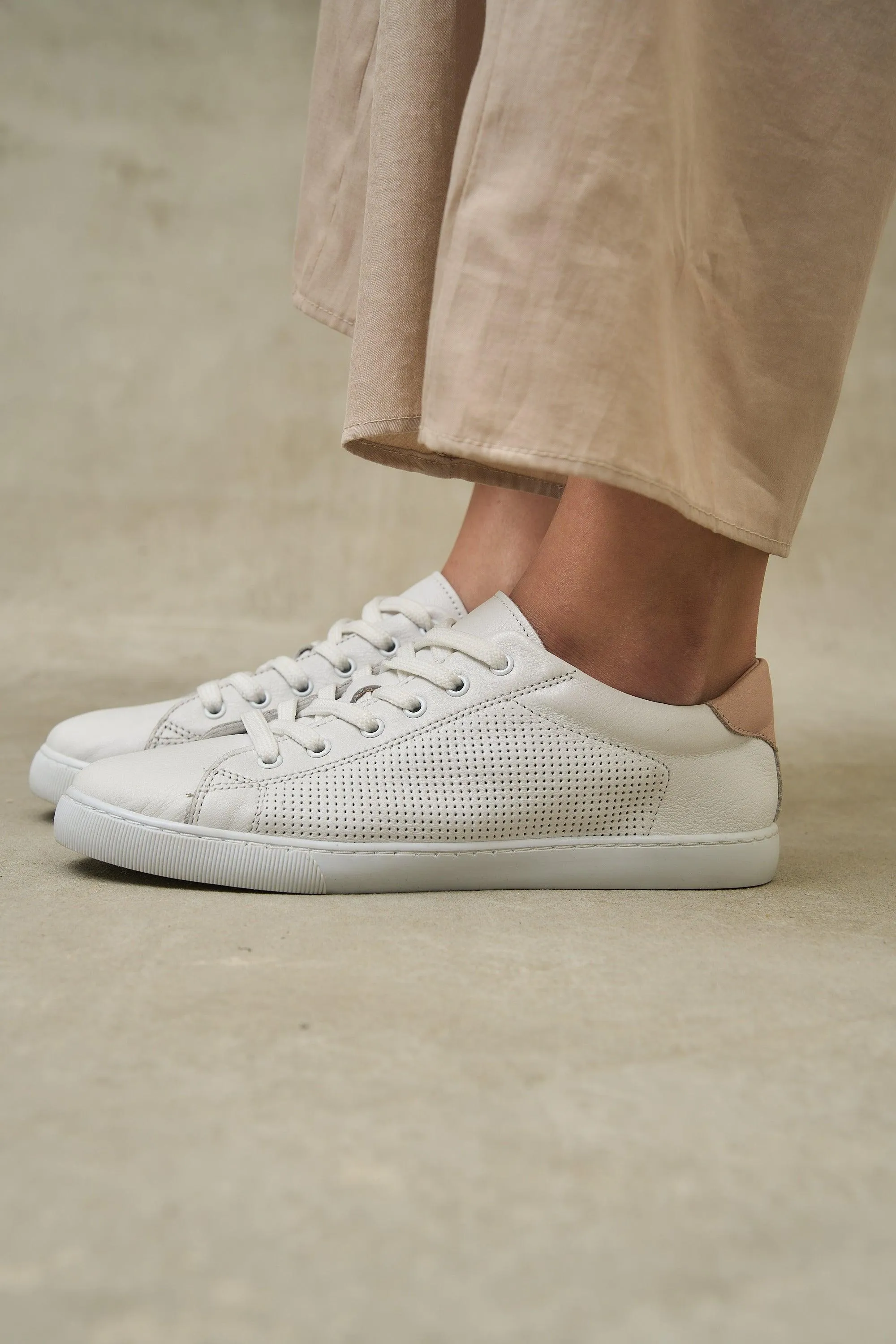 DOT Sneakers